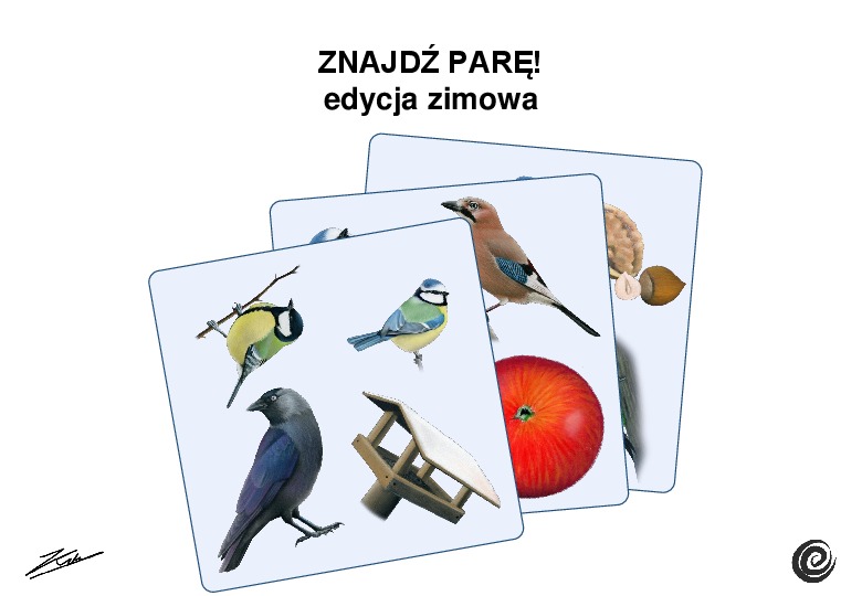 Okładka: gra znajdź parę edycja zima u ptaków