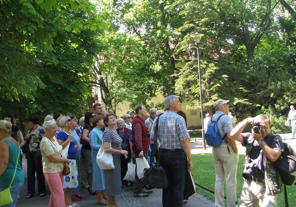 Grafika 1: „Urozmaicony świat roślin Parku Oliwskiego” - terenowe spotkanie czwartkowe
