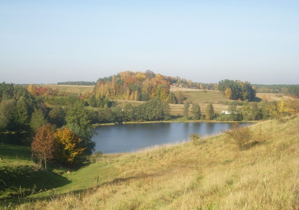 Grafika Zielone pytanie na październik