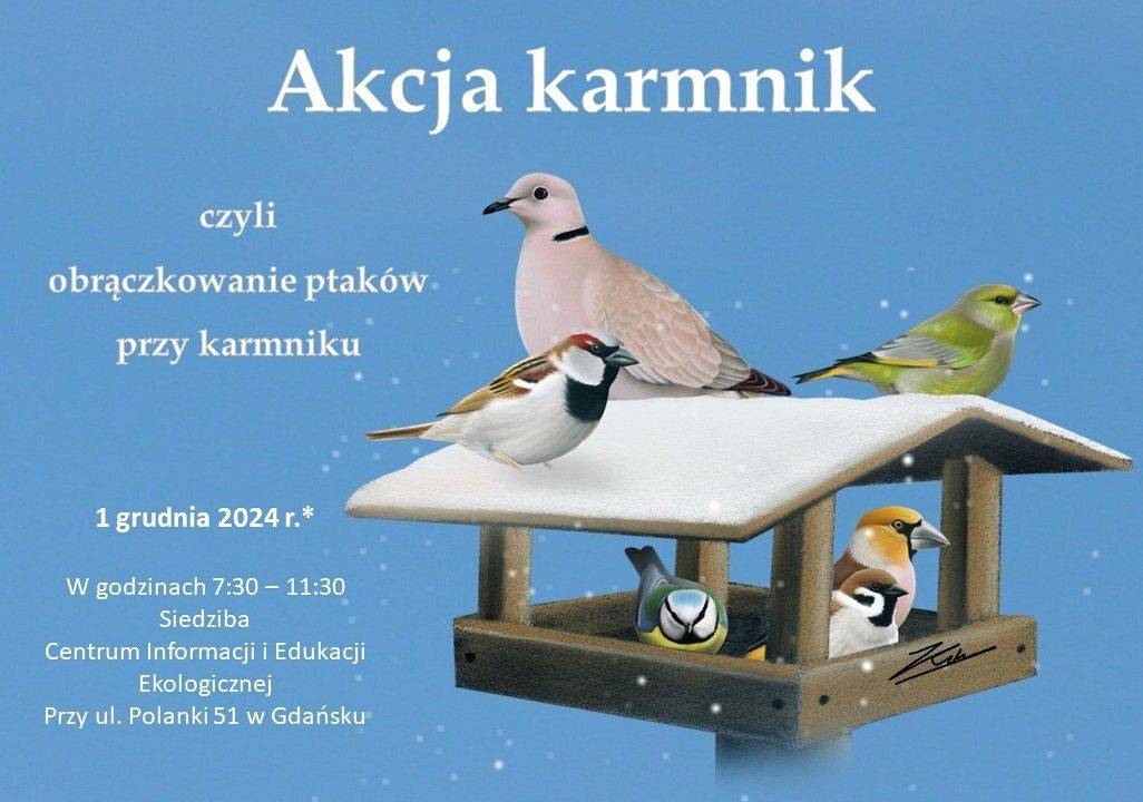 Grafika 1: Akcja karmnik 2024/2025