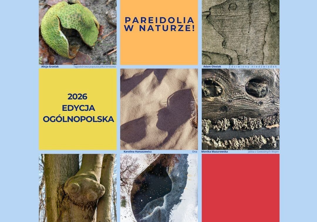 Grafika VII edycja konkursu Pareidolia w naturze