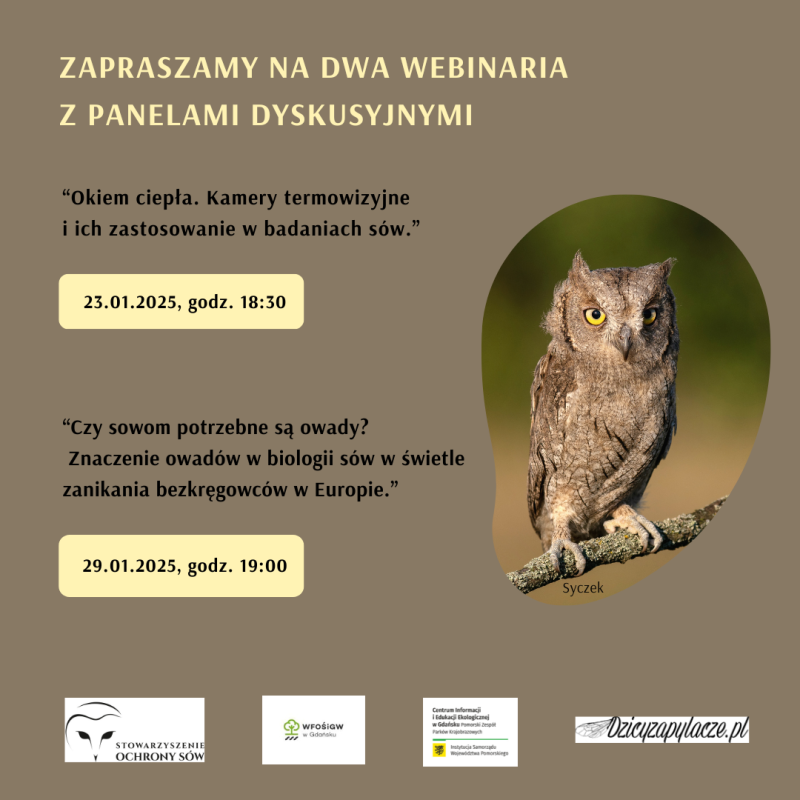 Plakat o webinarach, po prawej stronie zdjęcie syczka - brązowej sowy z żółto-czarnymi oczami.