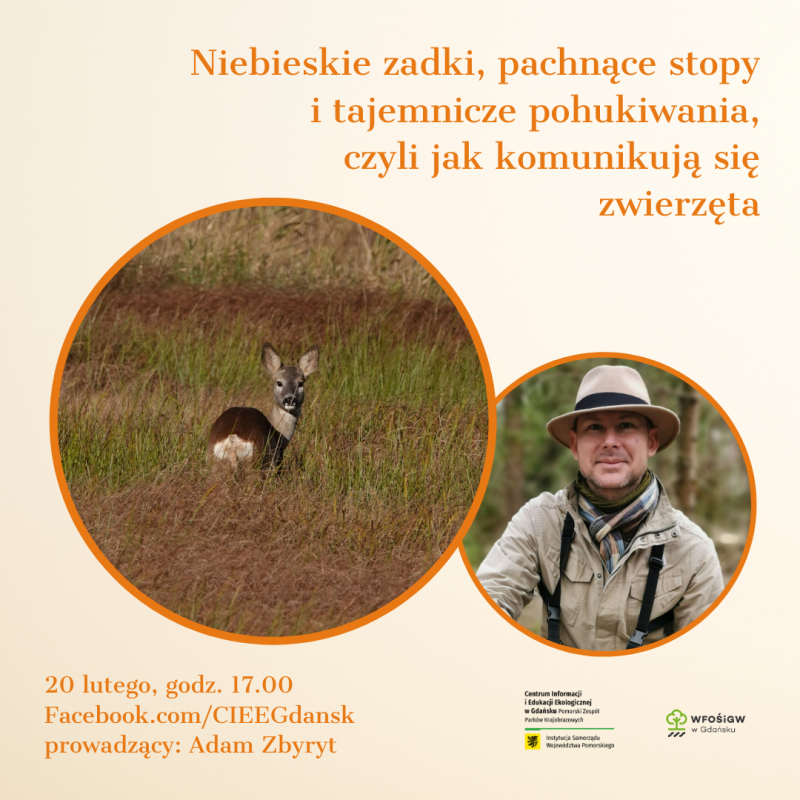 Zaproszenie na opowieść o komunikacji w świecie zwierząt, na plakacie zdjęcie sarny na łące oraz zdjęcie portretowe mężczyzny, który poprowadzi prelekcję online.