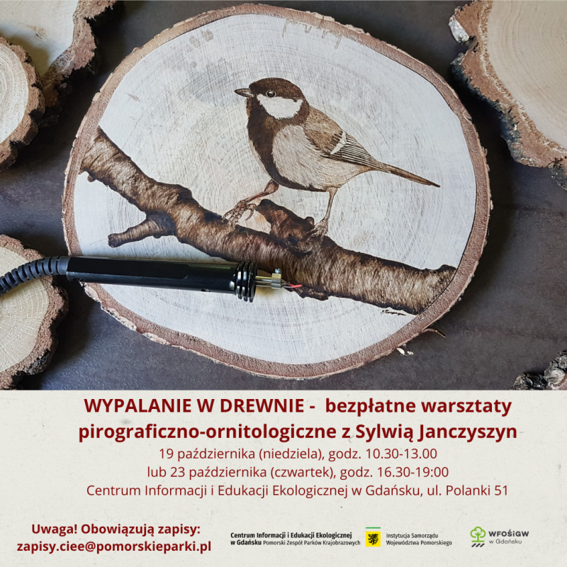 Fotografia sikorki siedzącej na gałęzi, wypalonej na plastrze drewna. Na dole napis o warsztacie.