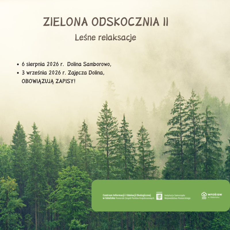 Grafika przedstawia las a powyżej niego są informacje o tytule przedsięwzięcia oraz daty i miejsca dwóch wydarzeń