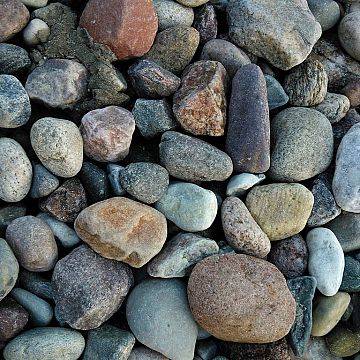 „Kamienie z Północy: warsztaty z oznaczania skał narzutowych” grafika