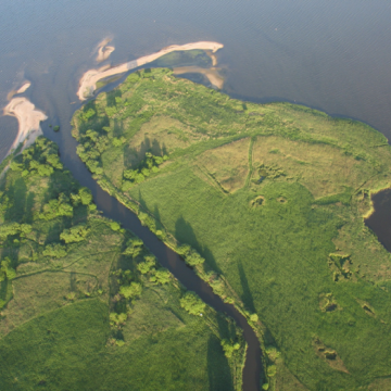 Rezerwat Beka – skarby przyrodnicze delty rzeki Redy grafika