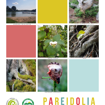 IV edycja konkursu "Pareidolia w naturze" grafika