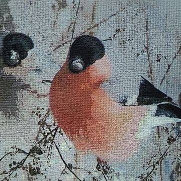 Wystawa „Malując śpiew. W krainie ptaków” grafika