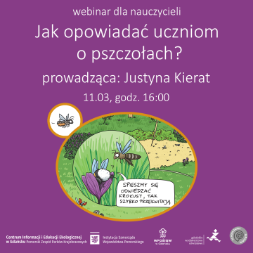 Grafika Jak opowiadać uczniom o pszczołach?” - webinar dla nauczycieli biologii, przyrody i nauczania początkowego