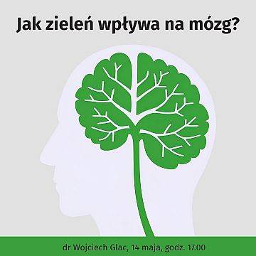 Grafika Jak zieleń wpływa na mózg?