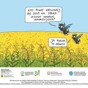 Grafika bezOGRÓDEK o bioróżnorodności - cykl postów i komiksów