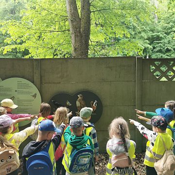 Wyprawy dla laureatów konkursu „Znani i nieznani - ptasi sąsiedzi” Grafika Wyprawy dla laureatów konkursu „Znani i nieznani - ptasi sąsiedzi”