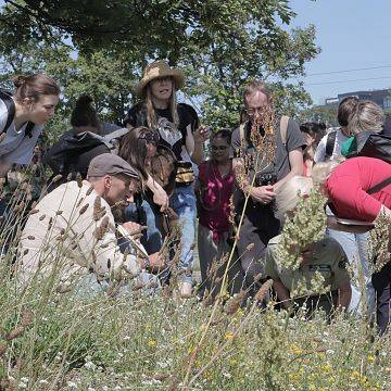 Grafika Relacja z "pszczelego czwartku"