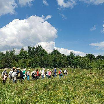 Grafika Wspomnienie po XX sezonie Dojrzałego Smaku Przygody