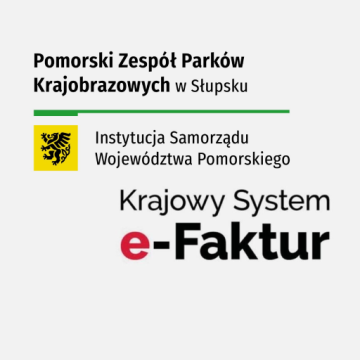 Grafika Krajowy System e-Faktur (KSeF)