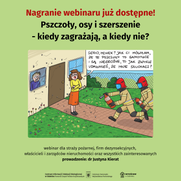 Grafika Link do nagrania webinaru