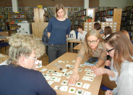 Grafika 5: Szkolenie dla nauczycieli w Pruszczu Gdańskim