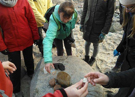 Grafika 7: „Kamienie z Północy: warsztaty z oznaczania skał narzutowych”