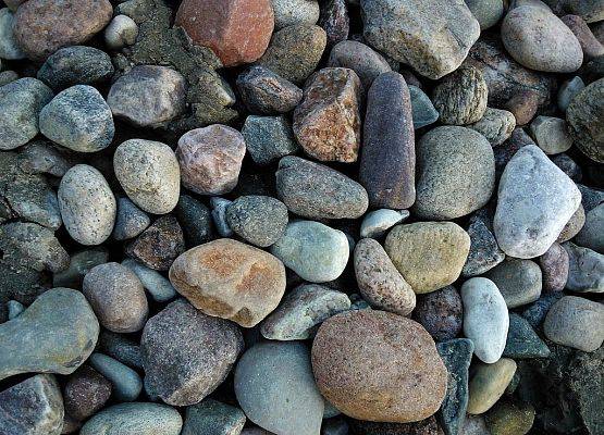Grafika 6: „Kamienie z Północy: warsztaty z oznaczania skał narzutowych”