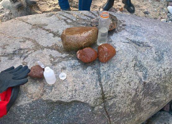 Grafika 14: „Kamienie z Północy: warsztaty z oznaczania skał narzutowych”