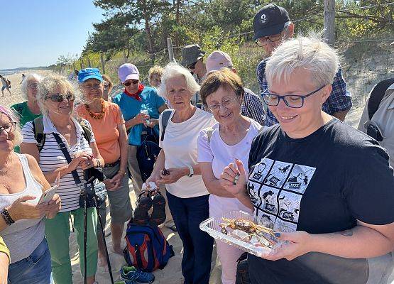 Grafika Wspomnienie po XIX Dojrzałym Smaku Przygody