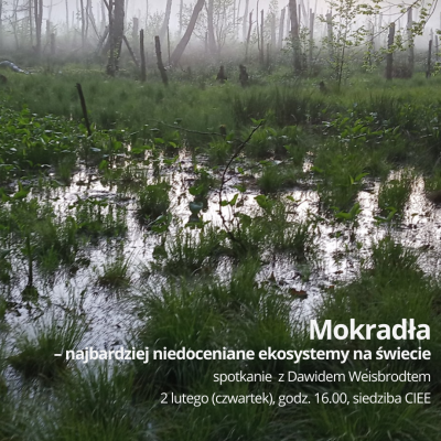 Mokradła – zaproszenie na prelekcję o najbardziej niedocenianych ekosystemach na świecie, fot. D. Weisbrodt