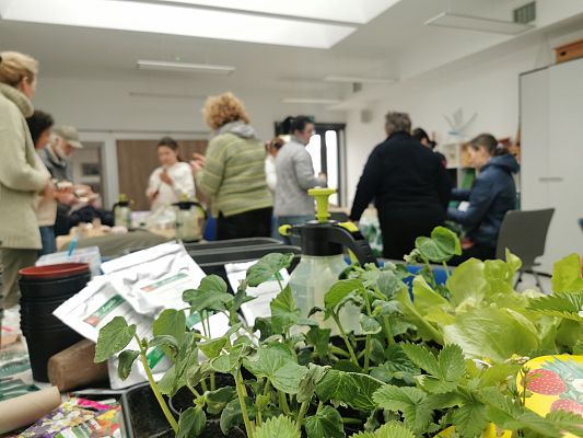 Rośliny i nasiona czekają w blokach startowych, fot. JKR