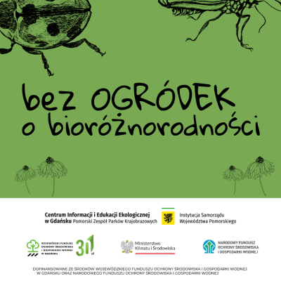 Czarny napis bezOGRÓDEK o bioróżnorodności i szkice kwiatów i dwóch owadów na zielonym tle oraz loga