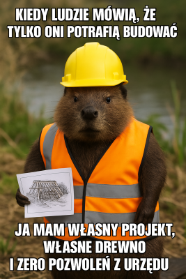 mem z bobrem ubranym w kamizelkę odblaskową i kask