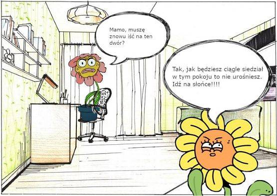 mem z roślinami, które są w mieszkaniu, jedna z nich siedzi przy biurku