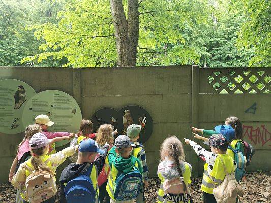 Grupa dzieci wskazujących palcami na płaskorzeżby ptaków na tablicy edukacyjnej. W tle las.