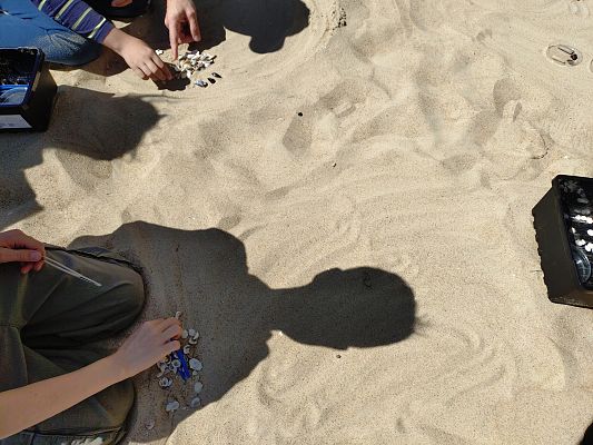 Rozpoznawanie musszli na plaży, fot.MWS