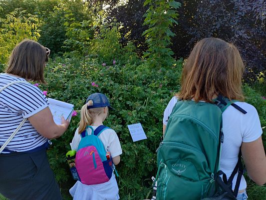 Grafika NATURAlnie przygoda relacja z cyklu