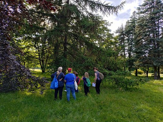 uczestnicy obserwuja ptaki na drzewie, fot. MWS