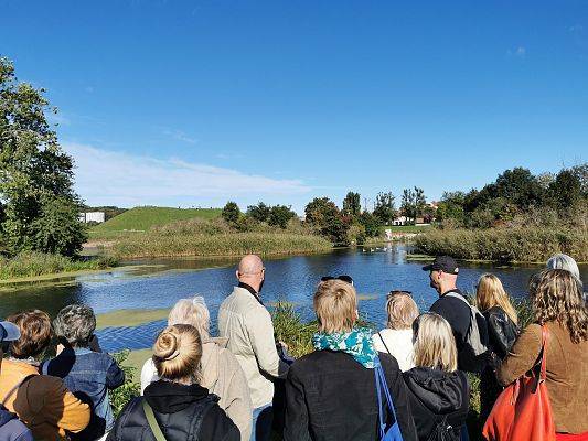 Grupa osób patrzy w kierunku stada łabędzi pływających po rzece, W oddali drzewa i górka porośięta trawą.
