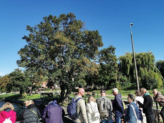 Grupa osó ztosi przy barierce nad wodą i na coś patrzy. W tle duże drzewa.