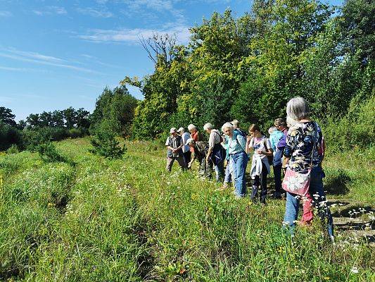 Łąka, po prawej stronie drzewa. Grupa osób na ścieżce ogląda rośliny. Jedna osoba się pochyla i pokazuje jedną roślinę.