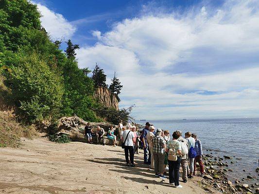 Nadmorska plaża, w oddali klif. Na pąży stary pień drzewa. Grupa osó stoi i siedzi na pniu.Słoneczna pogoda.