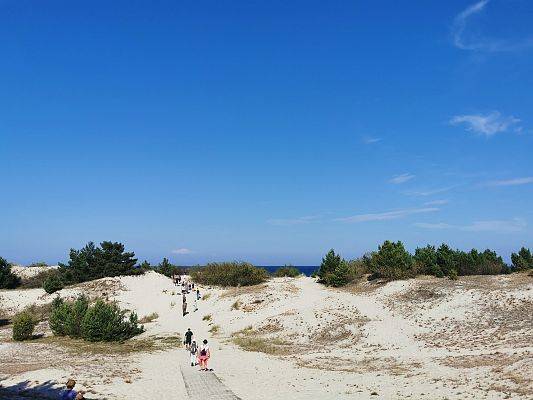 Zdlecie z oddali, grupa osób idzie przez piaszczyste wydmy, na któych rosną małe drzewa. W oddali widać morze. Piękna pogoda, niebieskie niebo.