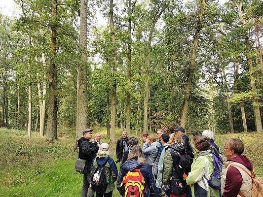 Grupa osób stoi w lesie i śłucha opowieści mężczyzny.