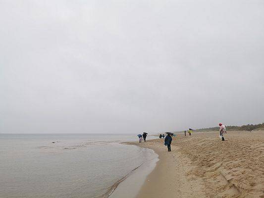Zdjecie z oddali, kilka osób idzie po plaży. Maja parasole, płaszcze przeciwdeszczowe. Widać, ze wieje wiatr i pada deszcz.