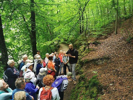 Duża grupa osób na ścieżce w lesie, po lewej stronie widać jezioro. Po prawej, na skarpie, stoi meżczyzna i opowiada.