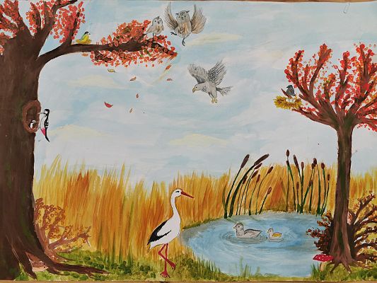 II miejsce Klasa V B ze Szkoły Podstawowej w Dębogórzu Oczko wodne z 2 ptakami, na brzegu bocian, 2 drzewa, jedno z dziuplą i dzięciołami, drugie z gniazem
