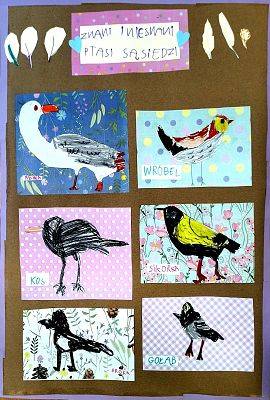 Wyróżnienie Grupa IV A z Przedszkola nr 82 w Gdańsku 6 kartek z namalowanymi mewą, kosem, sroką, wróblem gołębiem i sikorką, wklejona na brązowe tło.
