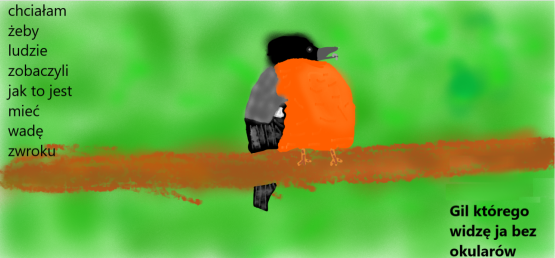 Wyróżnienie Uczennica Wiktoria z Klasy VA ze Szkoły Podstawowej nr 27 im. Dzieci Zjednoczonej Europy w Gdańsku Lekko rozmyty pomarańczowo-czarno-szary ptak - gil, siedzi na gałęzi.