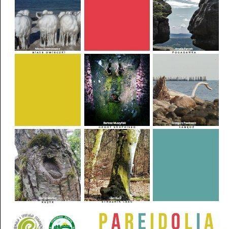 II edycja konkursu "Pareidolia w naturze" grafika