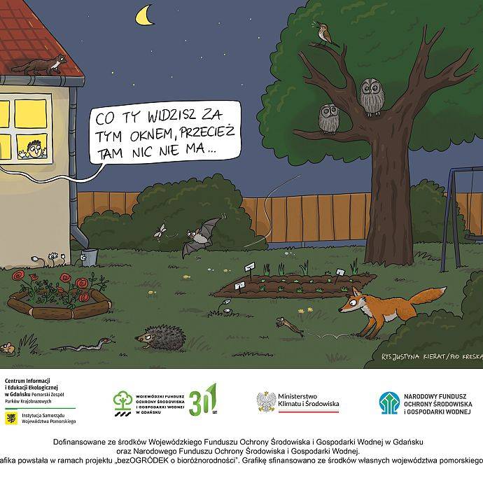 Grafika Komiksy