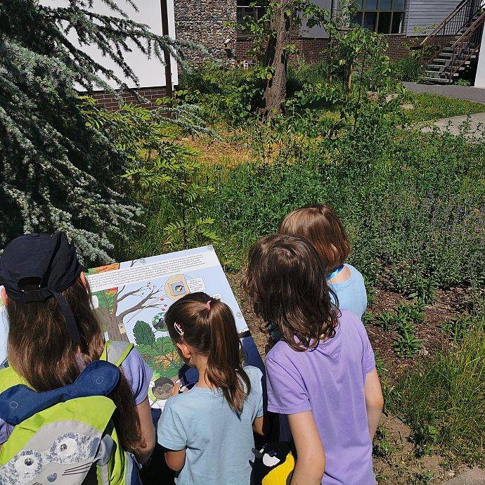 bezOGRÓDEK o bioróżnorodności! Grafika Warsztatowy zawrót głowy