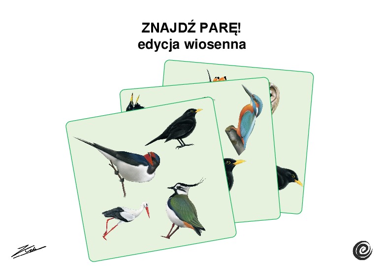 Okładka: gra znajdź parę edycja wiosna u ptaków